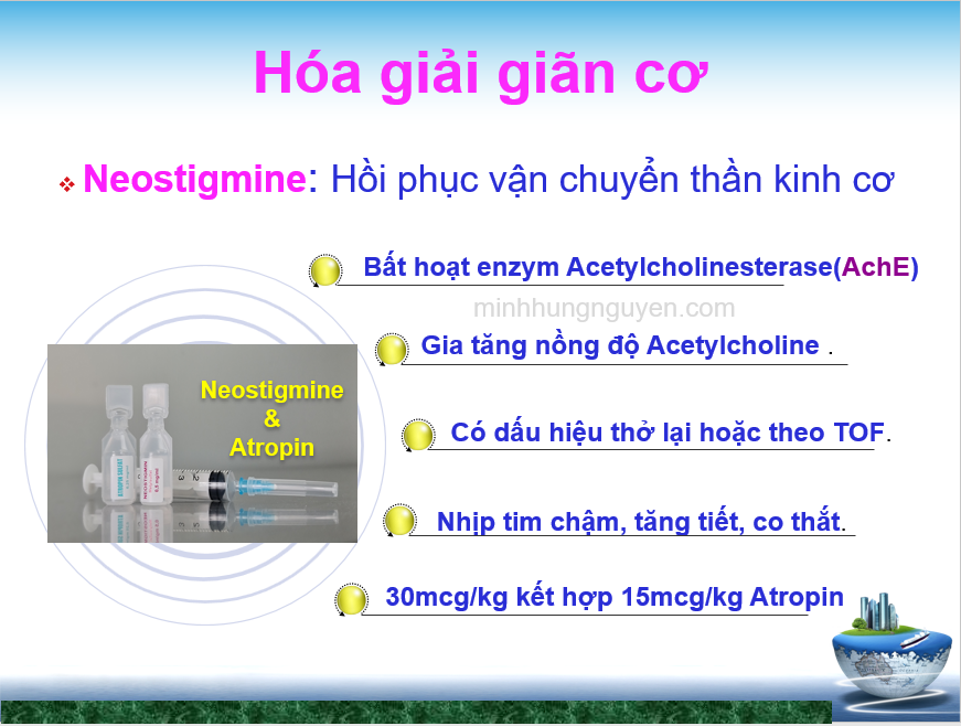 Hóa giải giãn cơ / Neostigmine + Atropin Hóa giải giãn cơ / Neostigmine + Atropin
