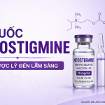 NEOSTIGMINE HOA GIẢI GIÃN CƠ