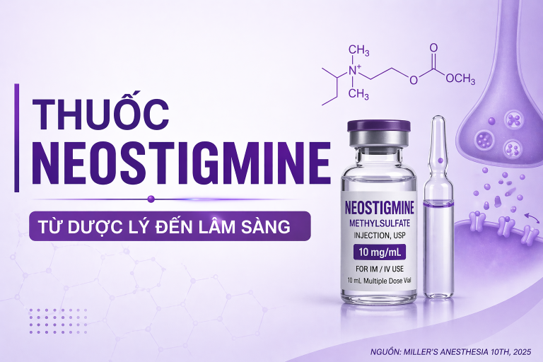 NEOSTIGMINE HOA GIẢI GIÃN CƠ