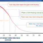 Tưới máu niêm mạc mao mạch khí quản theo áp lực bóng chèn.