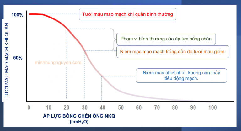 Tưới máu niêm mạc mao mạch khí quản theo áp lực bóng chèn.