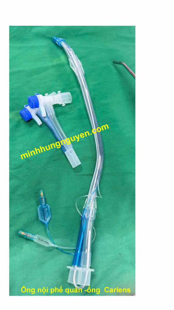 ONG NOI PHE QUAN; ONG CARLENS; ONG NOI KHI QUAN HAI NONG