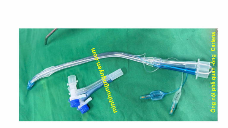 Ống Nội phế quản hai nòng (Double-Lumen Endobronchial Tube – DLT)