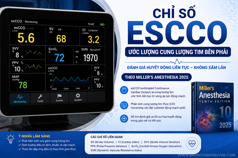 CHI SO ESCCO TRONG GMHS