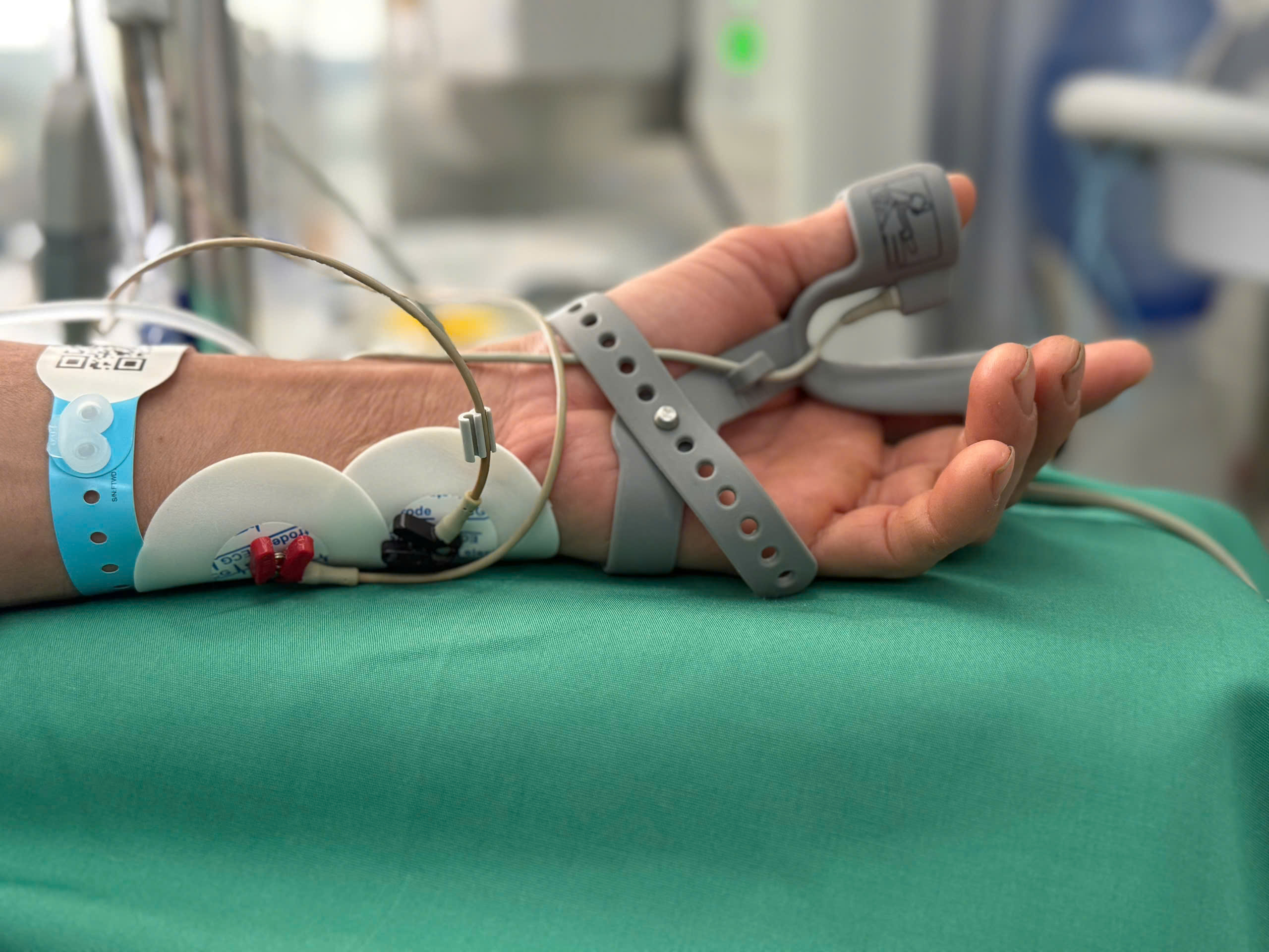 TOF TREN CO KHEP NGON CAI TOF TREN CO KHEP NGON CAI