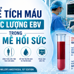 THỂ TÍCH MÁU ƯỚC LƯỢNG EBV