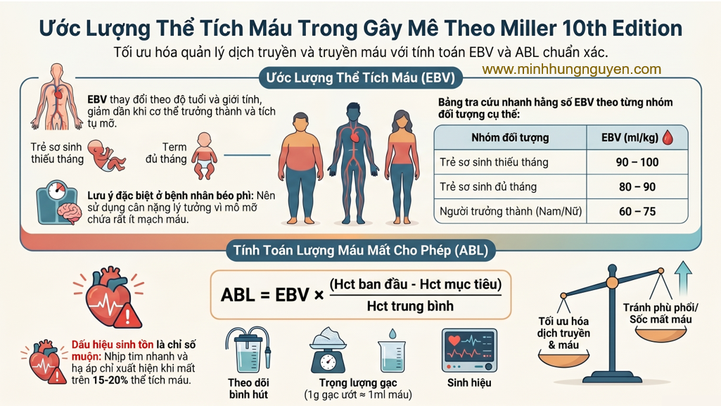 THỂ TÍCH MÁU ƯỚC LƯỢNG EBV