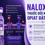 NALOXON. ĐỐI KHÁNG OPIAT ĐẶT HIỆU.