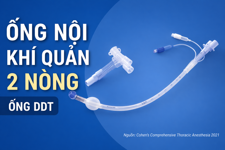Ống Nội phế quản hai nòng (Double-Lumen Endobronchial Tube – DLT).