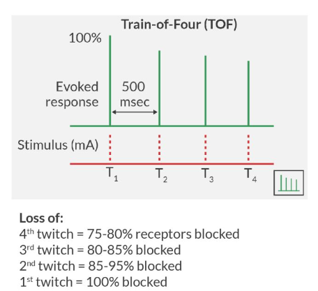 THỜI GIAN KÍCH THÍCH THẦN KINH CƠ