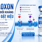 NALOXON TRONG GMHS