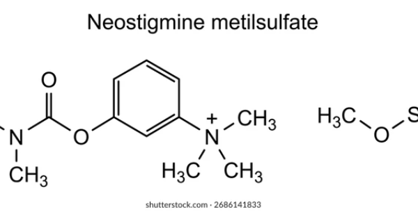 NEOSTIGMINE TRONG GMHS