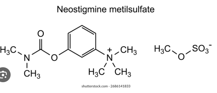 NEOSTIGMINE TRONG GMHS