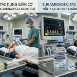 SUGMMADEX ĐỐI KHÁNG ROCURONIUM
