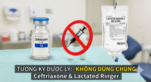 CEFTRIAXONE TƯƠNG KỴ DD LACTATED RINGER