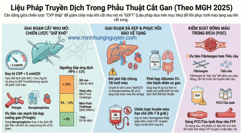 LIỆU PHÁP TRUYỀN DỊCH TRONG PT CẮT GAN