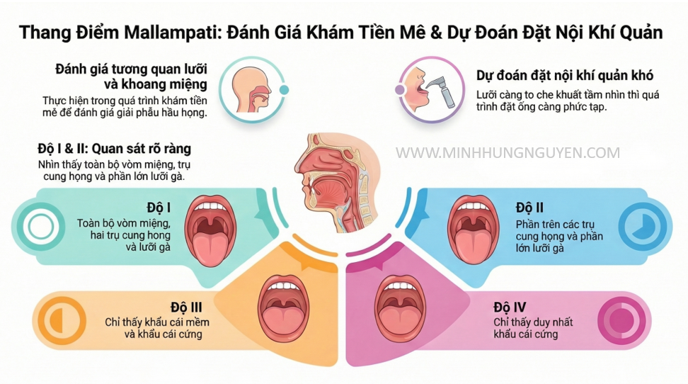 THANG ĐIỂM MALLAMPATI