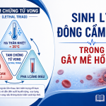 SINH LÝ ĐÔNG CẦM MÁU