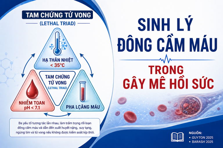 SINH LÝ ĐÔNG CẦM MÁU