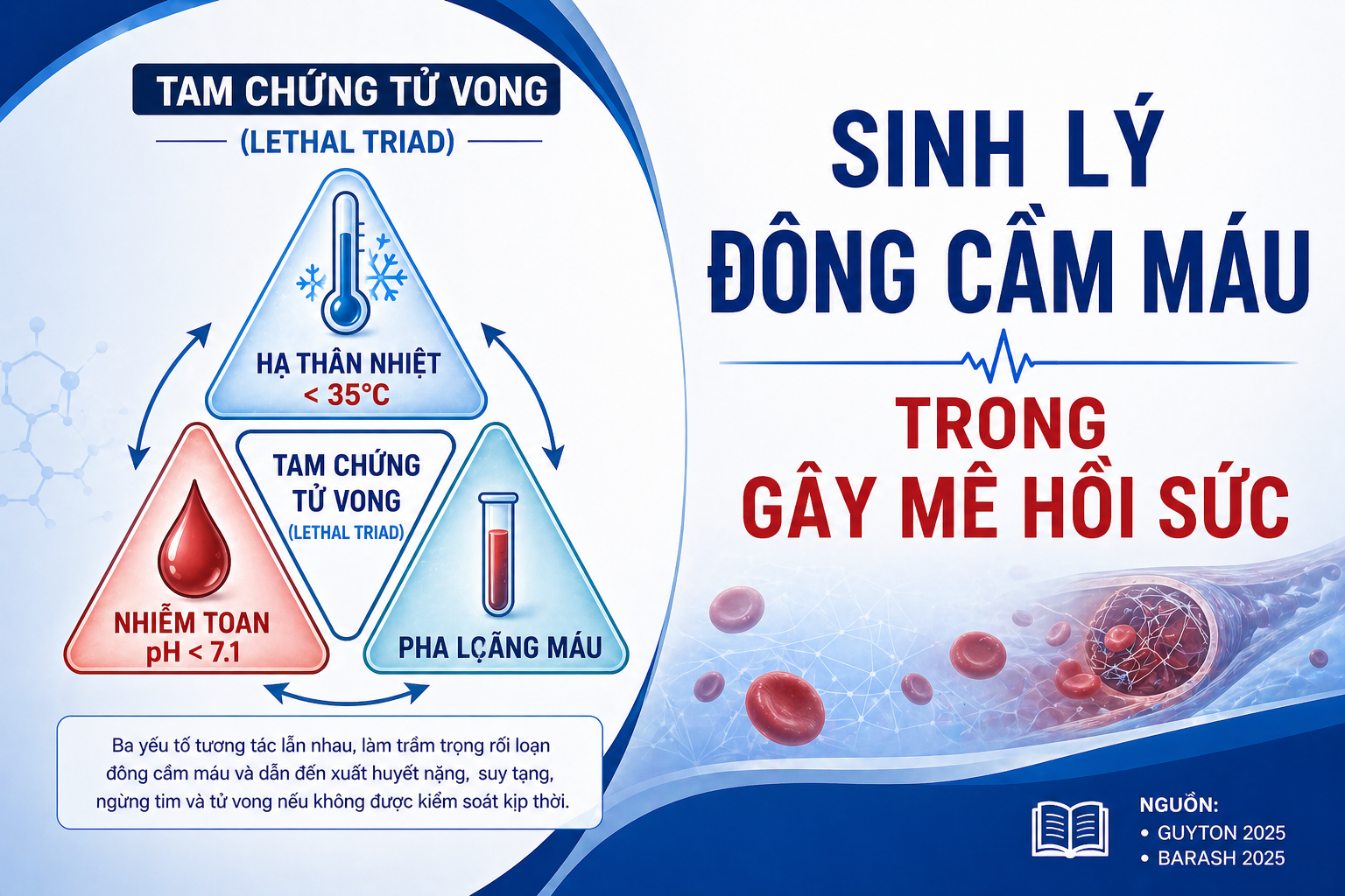 SINH LÝ ĐÔNG CẦM MÁU