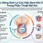 TÁC ĐỘNG SINH LÝ CO2 LÊN CƠ THỂ