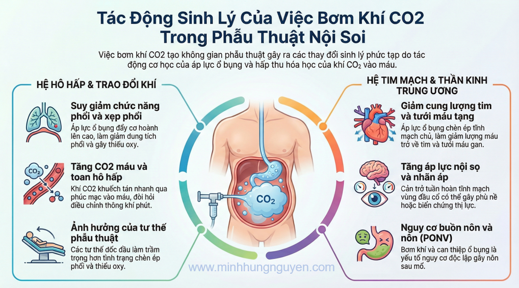 TÁC ĐỘNG SINH LÝ CO2 LÊN CƠ THỂ