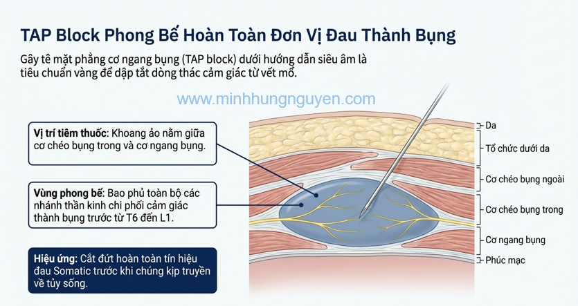 TÊ TAP BLOCK CƠ BỤNG