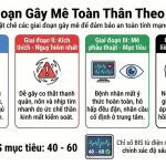 4 GIAI ĐOẠN CỦA GÂY MÊ