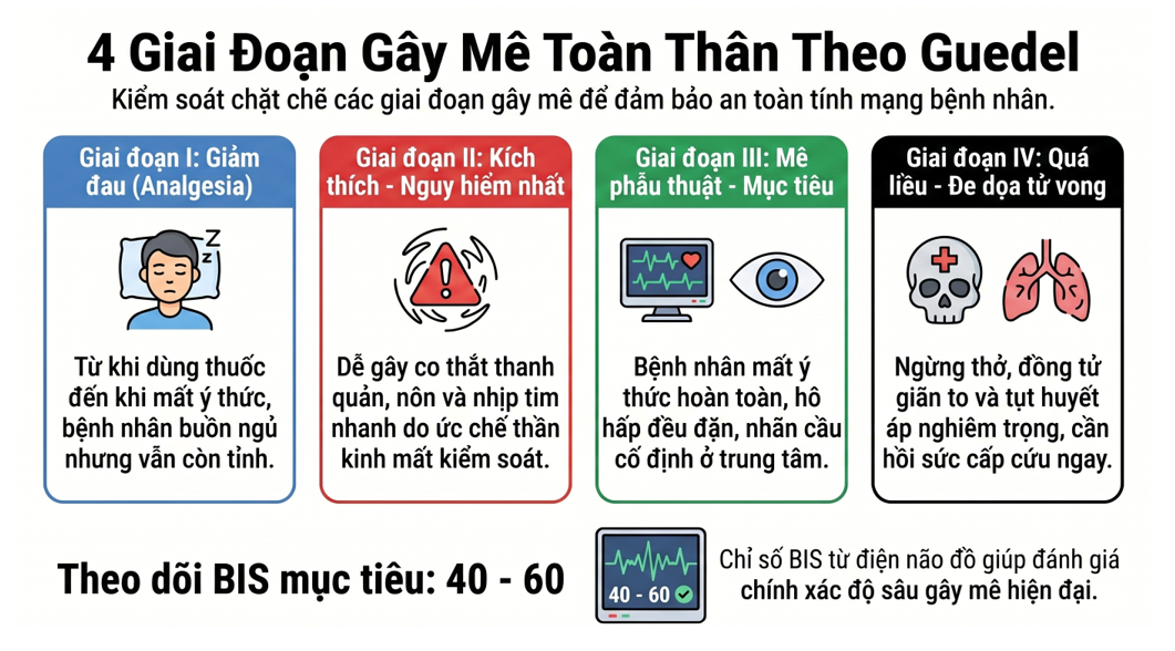 4 GIAI ĐOẠN CỦA GÂY MÊ