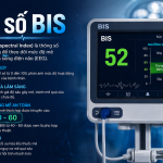 CHỈ SỐ BIS. THEO DÕI ĐỘ MÊ TRONG THỰC HÀNH GÂY MÊ HỒI SỨC